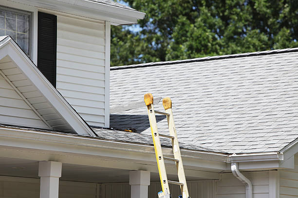 Best Steel Siding Installation  in Oak Grove, LA